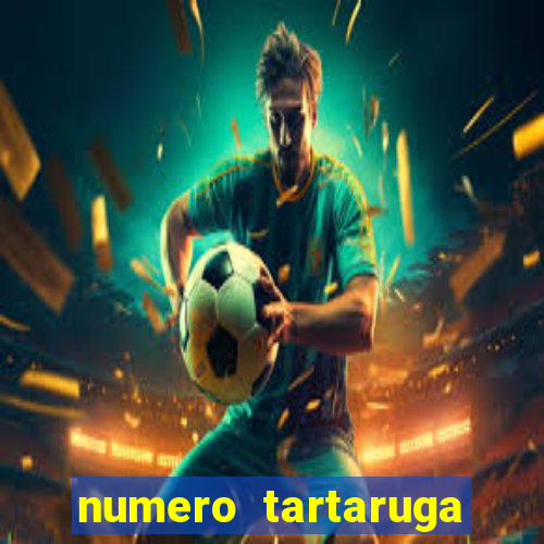 numero tartaruga jogo do bicho